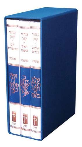 Koren Classic Mahzor Set, Ashkenaz, 3 Volumes de Koren Publishers