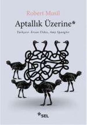 Aptallik Üzerine de Robert Musil