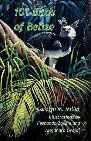 101 Birds of Belize de Carolyn M. Miller