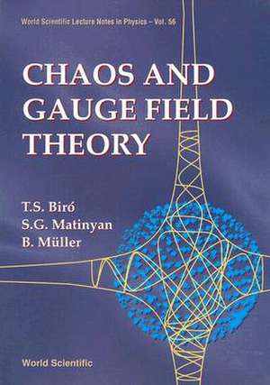 Chaos and Gauge Field Theory de T. S. Biro