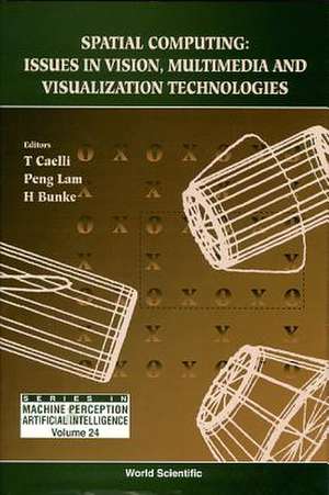 Spatial Computing: Issues in Vision, Multimedia and Visualization Technologies de Horst Bunke