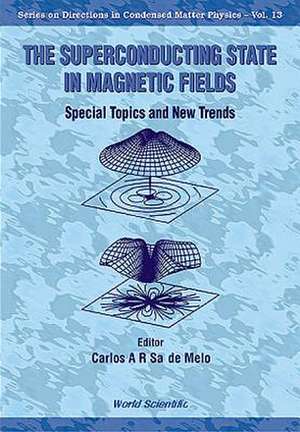 Superconducting State in Magnetic Fields, The: Special Topics and New Trends de Carlos A. R. de Melo