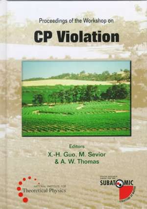 Cp Violation - Proceedings of the Workshop de X. -H Guo