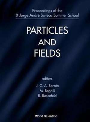 Particles and Fields, X Jorge Andre Swieca Summer School de Joao C. A. Barata