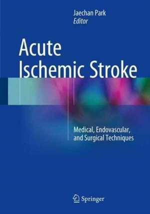 Acute Ischemic Stroke: Medical, Endovascular, and Surgical Techniques de Jaechan Park