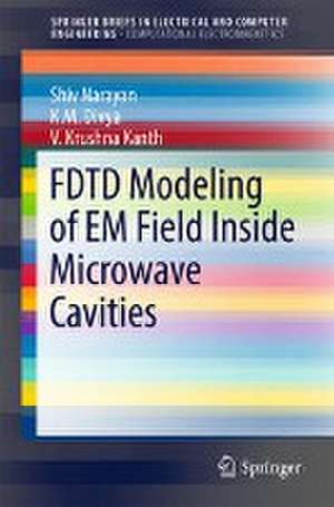 FDTD Modeling of EM Field inside Microwave Cavities de Shiv Narayan