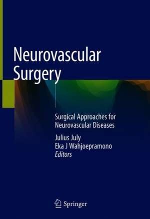 Neurovascular Surgery : Surgical Approaches for Neurovascular Diseases de Julius July