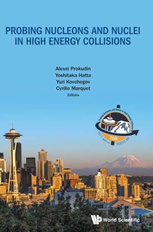 Probing Nucleons and Nuclei in High Energy Collisions - Proceedings of the Int Program Int-18-3 de Alexei Prokudin