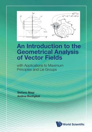 Introduction to the Geometrical Analysis of Vector Fields, An: With Applications to Maximum Principles and Lie Groups de Stefano Biagi