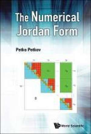 NUMERICAL JORDAN FORM, THE de Petko Petkov