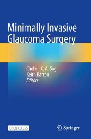 Minimally Invasive Glaucoma Surgery de Chelvin C a Sng