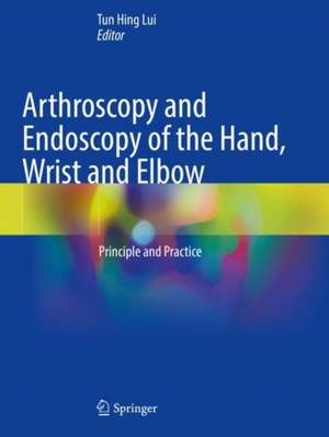 Arthroscopy and Endoscopy of the Hand, Wrist and Elbow: Principle and Practice de Tun Hing Lui