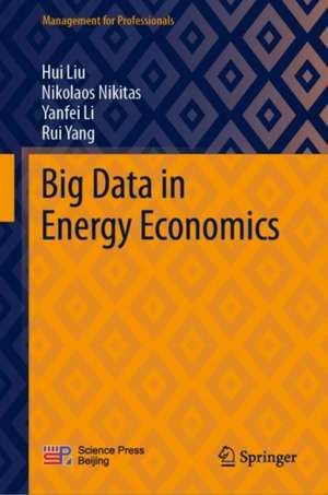 Big Data in Energy Economics de Hui Liu