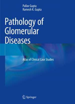 Pathology of Glomerular Diseases: Atlas of Clinical Case Studies de Pallav Gupta