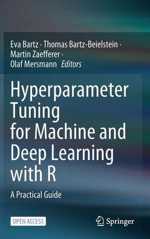 Hyperparameter Tuning for Machine and Deep Learning with R: A Practical Guide de Eva Bartz