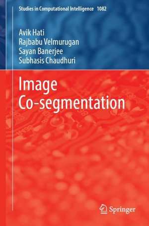 Image Co-segmentation de Avik Hati