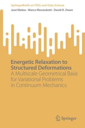 Energetic Relaxation to Structured Deformations: A Multiscale Geometrical Basis for Variational Problems in Continuum Mechanics de José Matias