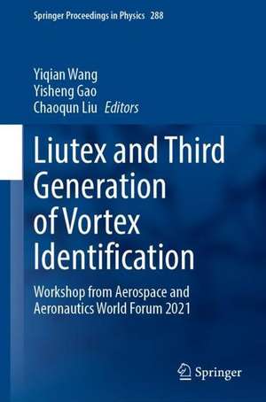 Liutex and Third Generation of Vortex Identification: Workshop from Aerospace and Aeronautics World Forum 2021 de Yiqian Wang