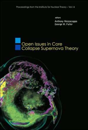 Open Issues in Core Collapse Supernova Theory