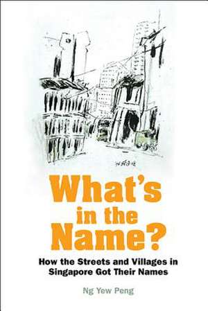 WHAT'S IN THE NAME? de Yew Peng Ng