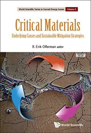 CRITICAL MATERIALS de S Erik Offerman