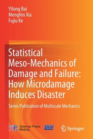 Statistical Meso-Mechanics of Damage and Failure: How Microdamage Induces Disaster: Series Publication of Multiscale Mechanics de Yilong Bai