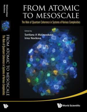 From Atomic to Mesoscale de Svetlana A. Malinovskaya