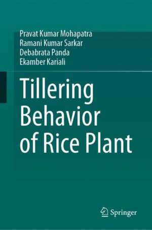 Tillering Behavior of Rice Plant de Pravat Kumar Mohapatra