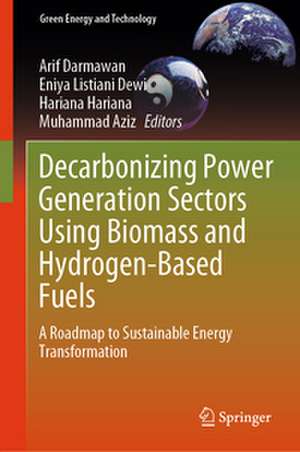 Decarbonizing Power Generation Sectors Using Biomass and Hydrogen-Based Fuels de Arif Darmawan
