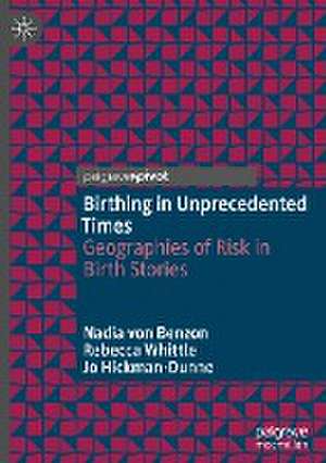 Birthing in Unprecedented Times: Geographies of Risk in Birth Stories de Nadia von Benzon