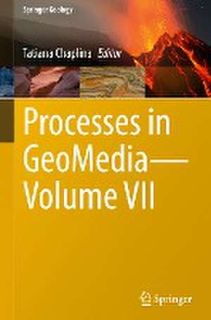 Processes in GeoMedia—Volume VII de Tatiana Chaplina