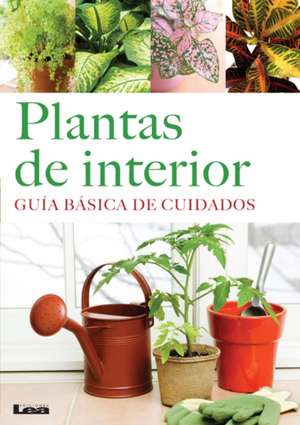 Plantas de Interior