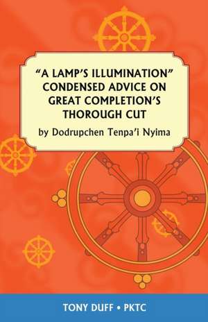 A Lamp's Illumination Condensed Advice on Great Completion's Thorough Cut de Tony Duff