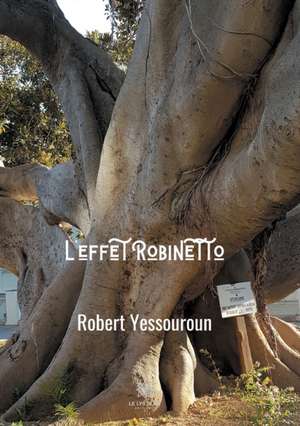 L'effet Robinetto de Robert Yessouroun
