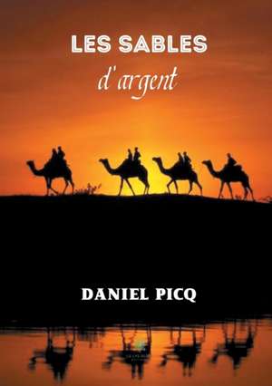 Les sables d'argent de Daniel Picq