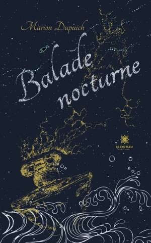 Balade nocturne de Marion Dupuich