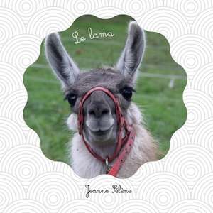 Le lama: documentaire animalier sur les camélidés de Jeanne Sélène