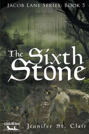 The Sixth Stone de Jennifer St. Clair