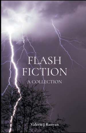 Flash Fiction de Valerie J Runyan