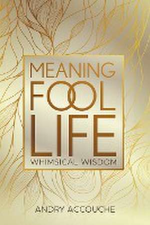 Meaningfool de Andry Accouche