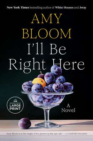 I'll Be Right Here de Amy Bloom