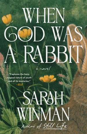 When God Was a Rabbit de Sarah Winman