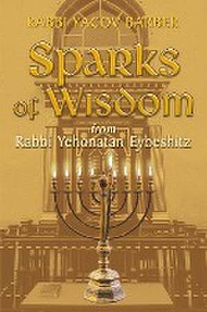 Sparks of Wisdom de Rabbi Yacov Barber