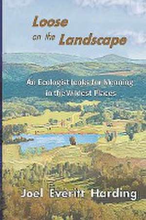 Loose on the Landscape de Joel Everett Harding