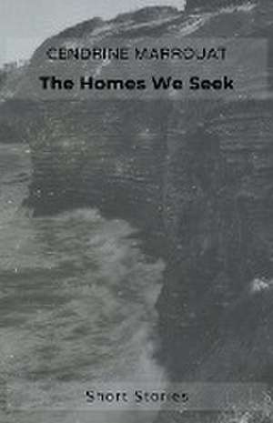 The Homes We Seek de Cendrine Marrouat