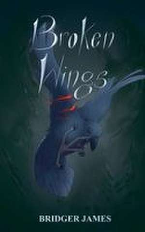 Broken Wings de Bridger James