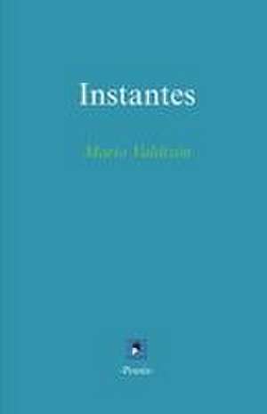 Instantes de Mario Valdizón