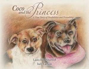 Coco and the Princess de Laura Beth Shurtliff