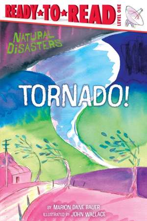 Tornado! de Marion Dane Bauer