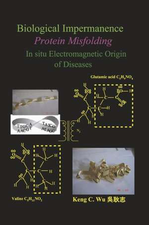 Biological Impermanence - Protein Misfolding: In Situ Electromagnetic Origin of Diseases de Keng C. Wu